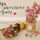 꽃들에게 이미지