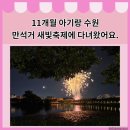 수원축제) 만석거 새빛축제 불꽃축제를 다녀온 후기