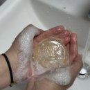 최정언산양목장 이미지