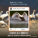 고니 무역