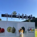 부여하늘농장 이미지