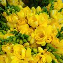 중앙도매 이미지