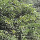 남해-278 이미지