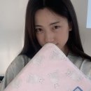 블루아이즈캣 이미지