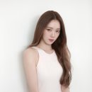 벚꽃헤어 네이버블로그