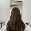 시리살롱 이미지