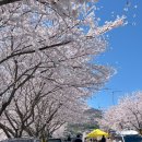 승월경로당 이미지