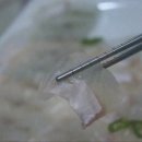 여수용궁횟집 새조개 하모샤브샤브 물회 | 여수 샤브샤브 여수용궁횟집 새조개 하모샤브샤브 물회 분위기와 맛 모두 만족스러운 식사