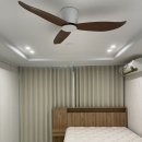 수송세영리첼 이미지