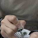 새로나인테리어 | 부천역 자석젤 맛집 새로나네일 봄맞이네일 추천