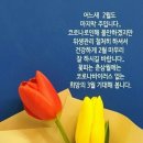 ♡2월29일 토요일♡ 이미지