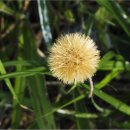 땅끝천년숲옛길 이미지