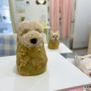 둥글원 이미지