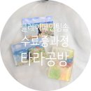 제주도 클레이페인팅솝 수료증과정 비누에 그림을그려요