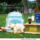 산책갈까? 이미지