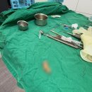 줌 구강악안면외과치과의원 이미지