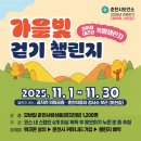 가을빛