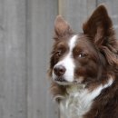 하늘소풍 이미지