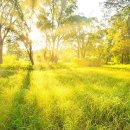 순간의기록 이미지