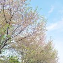 GS더프레시천안점 이미지