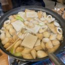 빈호프 티스토리