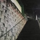 자혜공영주차장 이미지