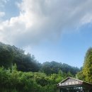 화인애견 | 애견동반가능한 옥천 '화인산림욕장' 다녀온 후기