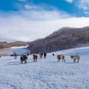 대인목장 이미지