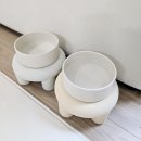 배드독 | 강아지 식기 브릿지독 배드말론 꿀조합 장단점 사용후기!