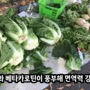 중년 여성의 떨어진 활력과 체력을 빠르게 충전하는 비법 | 겨울 굴 효능 3가지: 탈모와 남성호르몬 잡는 특급 비법