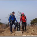 하대동403 이미지