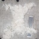 비비드그루밍 이미지