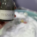 도그웨이살롱 이미지