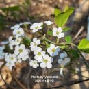 가장자리 이미지