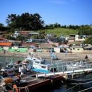 어촌마을 이미지