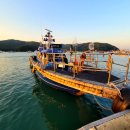 폴리민박 이미지