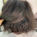 KIM`s Hair(킴스 헤어)