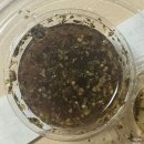 리퍼브14 유성지점 | 대전 샐러드 맛집 리퍼브14 유성본점 내돈내산 후기