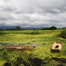 따오기품은 세진마을 이미지