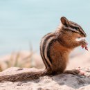 한마음정육식당 서현점 이미지