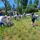 여름곤충 탐구생활 이미지