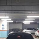 과학5호기