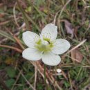 우산공원1 이미지