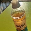 샛별여행