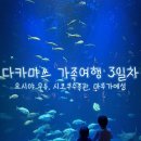 보람수족관 | 다카마쓰 가족여행 3일차 | 요시야 우동, 시코쿠수족관, 마루가메성