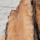 중생한의원 이미지