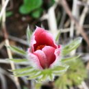 하대동312 이미지