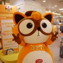 유아옷브랜드 컬리수 curlysue 농심너구라콜라보레이션