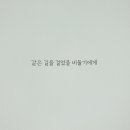 비둘기책방