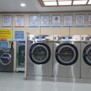 죽도세탁 네이버블로그